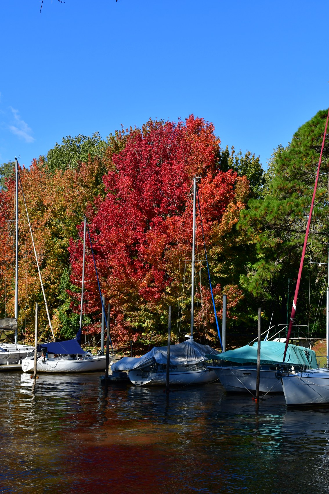 Commissioning and Waiting