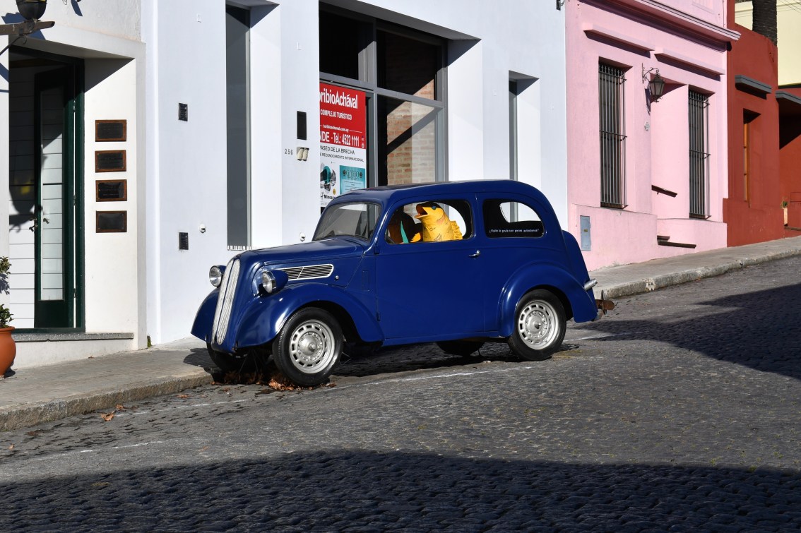 The Uniqueness of&nbsp;Colonia