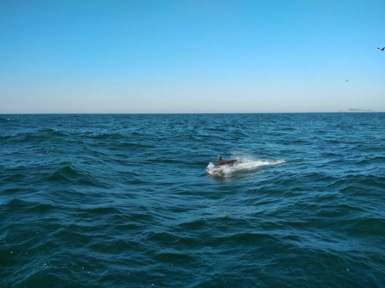 2741e0ba-c86c-4831-b214-d56448a83ae4 2