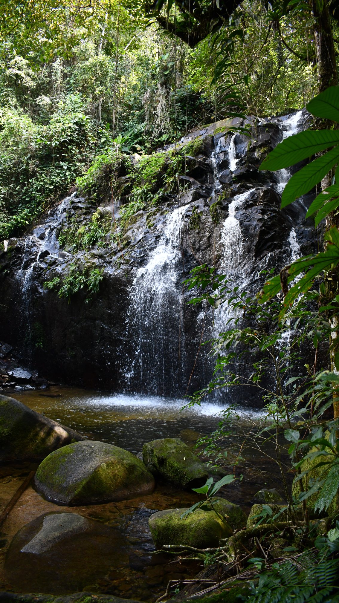 Cachoeira do Palmital