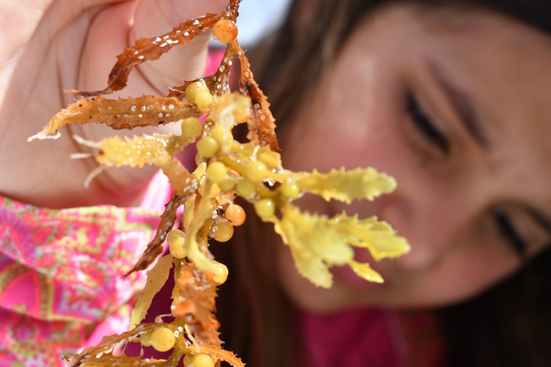 Pirates to the Left, Tropical Storm to the Right, and Gunshots Behind (Part&nbsp;III)