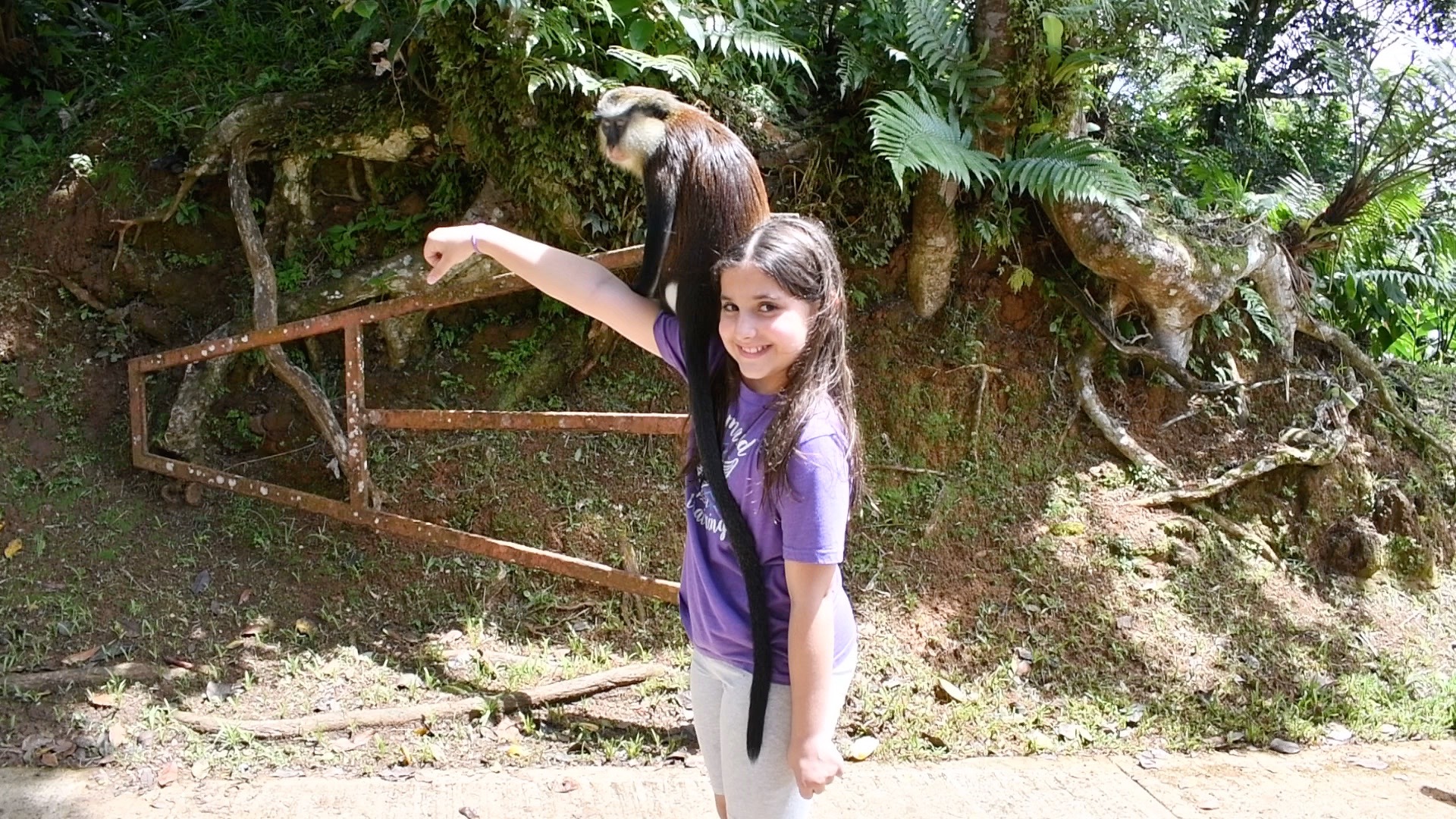 Frame-15-10-2018-07-35-15