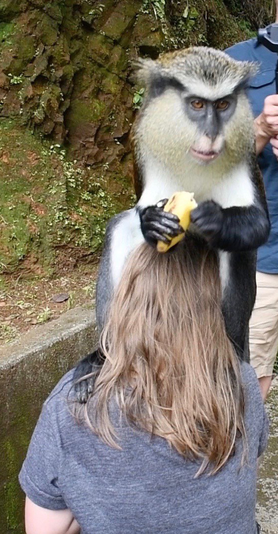 Excuse Me, But Is That a Monkey on Your&nbsp;Head?