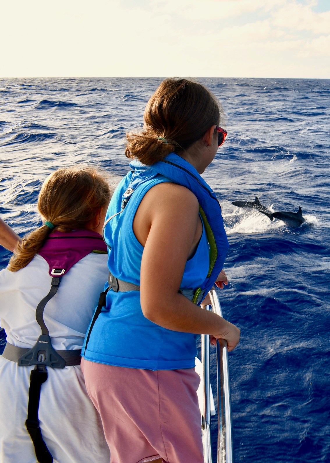 Dolphins, Salty Carbs, and Gilligan’s Island
