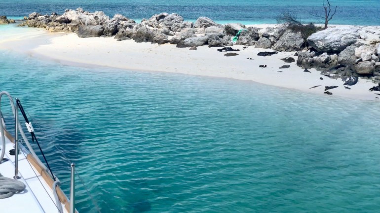 frame-29-01-2019-10-12-53