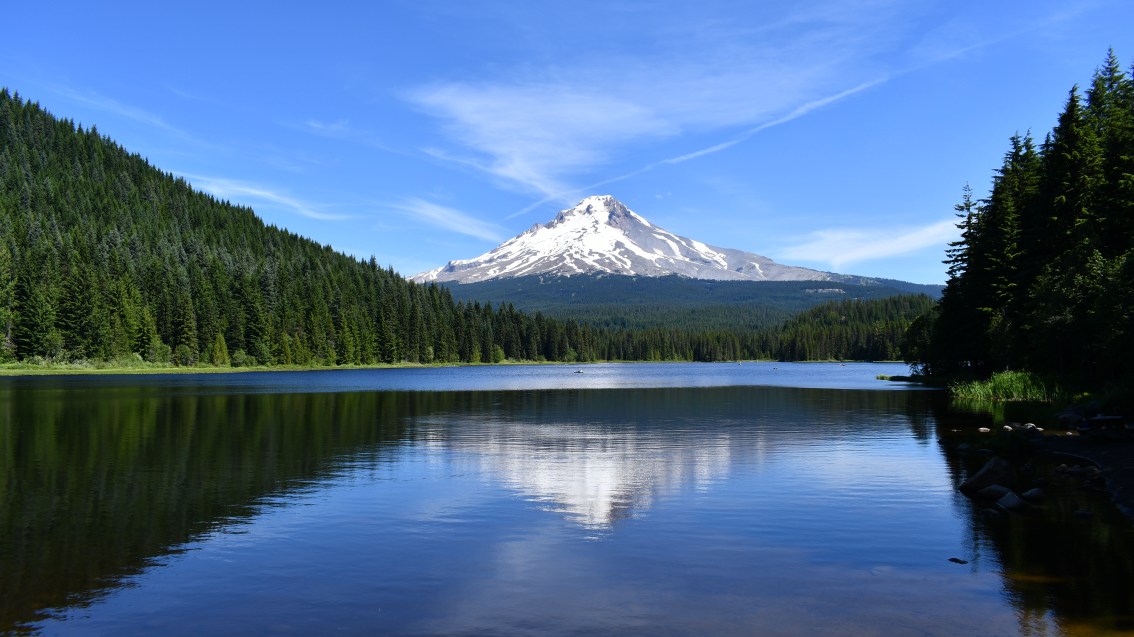 4 Years and ~80,000&nbsp;Miles